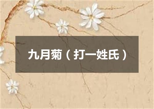 九月菊（打一姓氏）