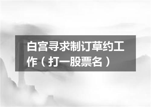 白宫寻求制订草约工作（打一股票名）