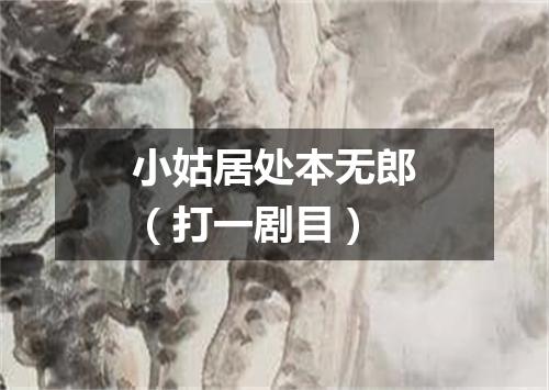 小姑居处本无郎（打一剧目）