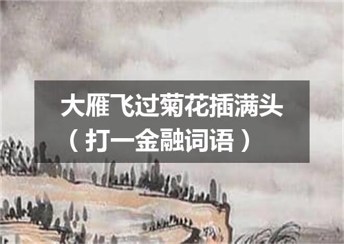 大雁飞过菊花插满头（打一金融词语）