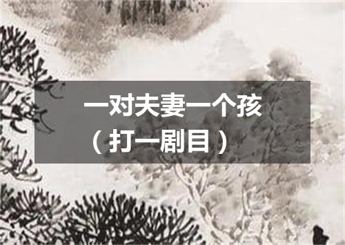 一对夫妻一个孩（打一剧目）