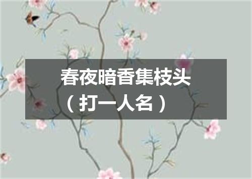 春夜暗香集枝头（打一人名）