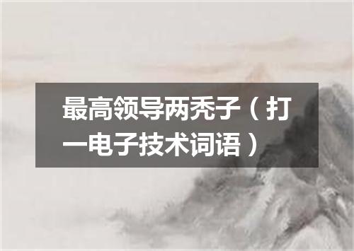 最高领导两秃子（打一电子技术词语）