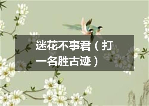迷花不事君（打一名胜古迹）