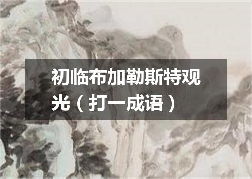 初临布加勒斯特观光（打一成语）