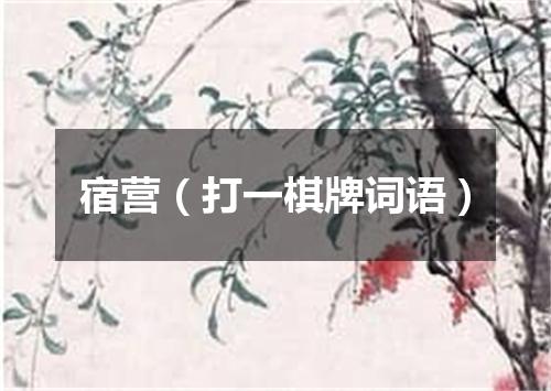 宿营（打一棋牌词语）