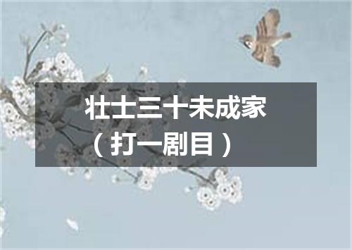 壮士三十未成家（打一剧目）