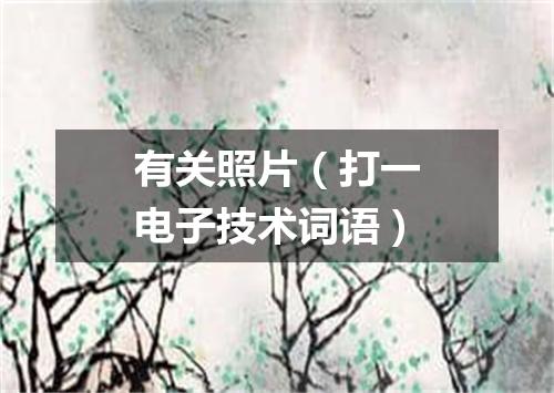 有关照片（打一电子技术词语）