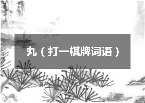 丸（打一棋牌词语）