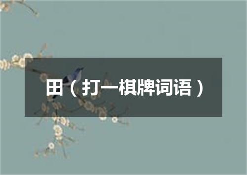 田（打一棋牌词语）