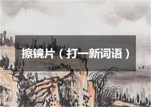 擦镜片（打一新词语）