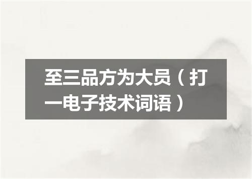 至三品方为大员（打一电子技术词语）