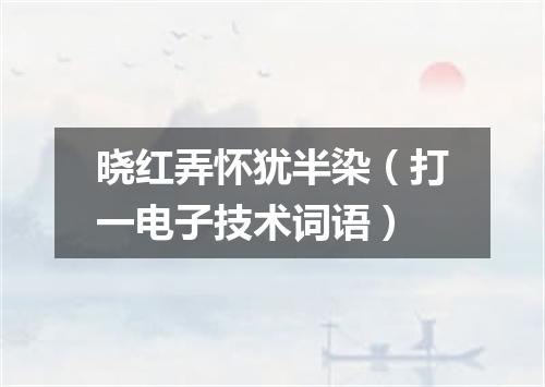 晓红弄怀犹半染（打一电子技术词语）
