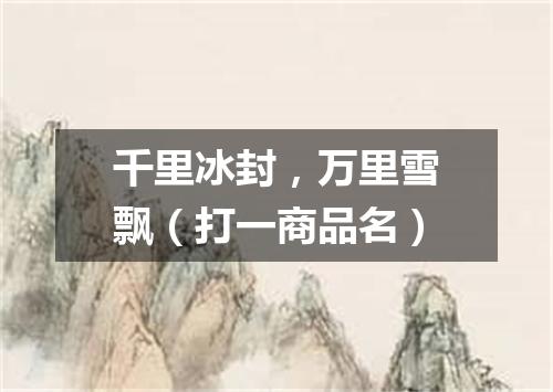 千里冰封，万里雪飘（打一商品名）