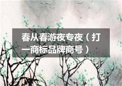 春从春游夜专夜（打一商标品牌商号）