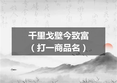 千里戈壁今致富（打一商品名）