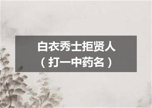 白衣秀士拒贤人（打一中药名）