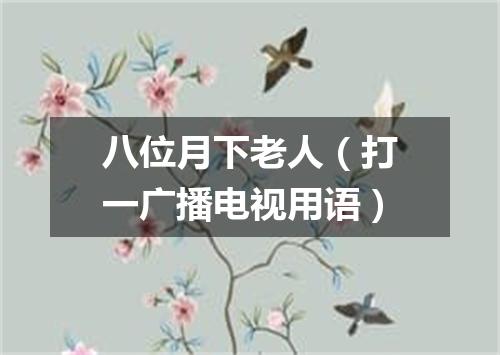 八位月下老人（打一广播电视用语）