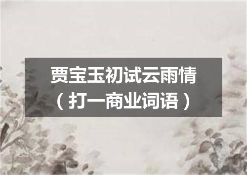 贾宝玉初试云雨情（打一商业词语）