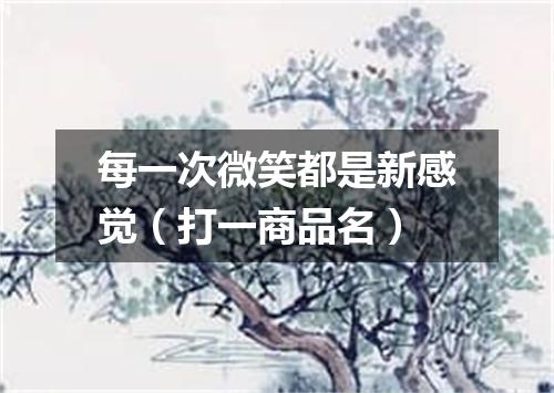 每一次微笑都是新感觉（打一商品名）