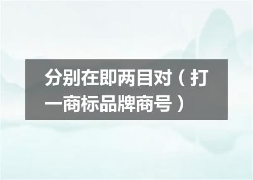 分别在即两目对（打一商标品牌商号）