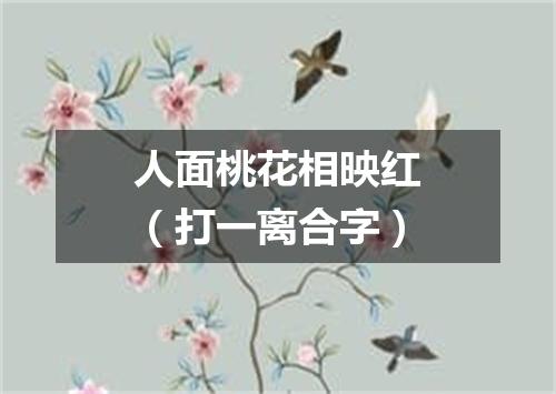 人面桃花相映红（打一离合字）
