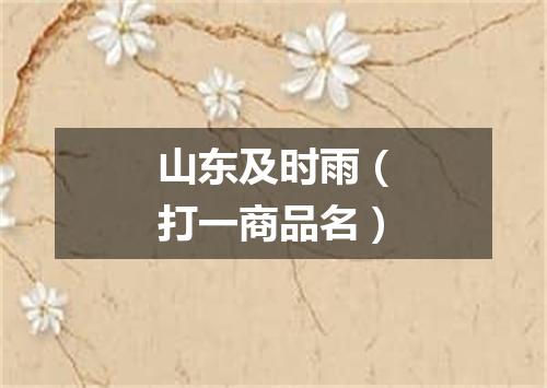 山东及时雨（打一商品名）