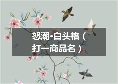 怒潮·白头格（打一商品名）