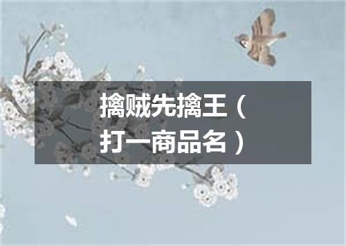 擒贼先擒王（打一商品名）
