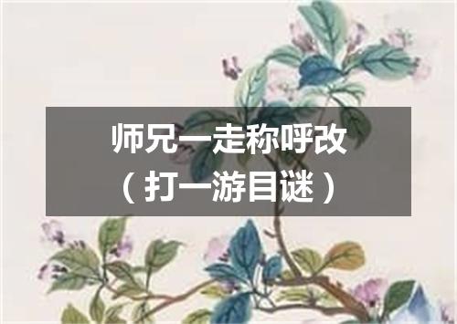 师兄一走称呼改（打一游目谜）