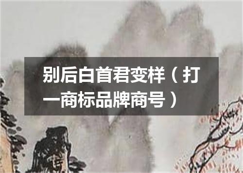 别后白首君变样（打一商标品牌商号）