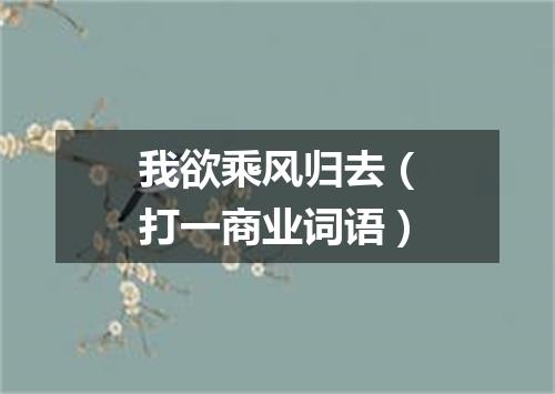 我欲乘风归去（打一商业词语）