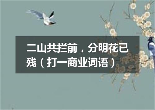 二山共拦前，分明花已残（打一商业词语）