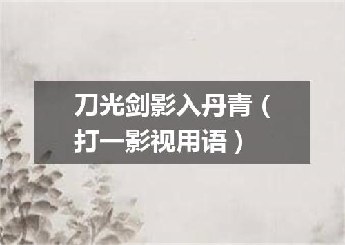 刀光剑影入丹青（打一影视用语）