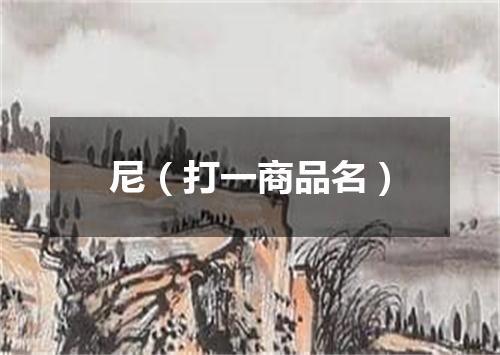 尼（打一商品名）