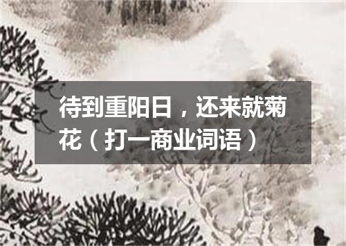 待到重阳日，还来就菊花（打一商业词语）