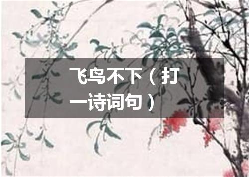 飞鸟不下（打一诗词句）