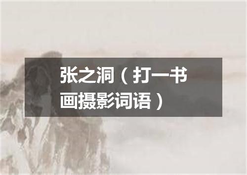 张之洞（打一书画摄影词语）