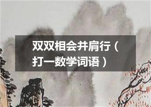 双双相会并肩行（打一数学词语）