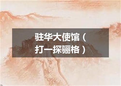 驻华大使馆（打一探骊格）