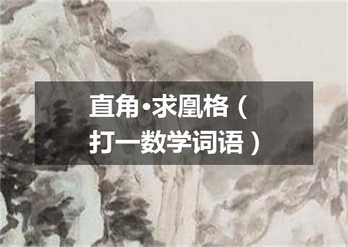 直角·求凰格（打一数学词语）