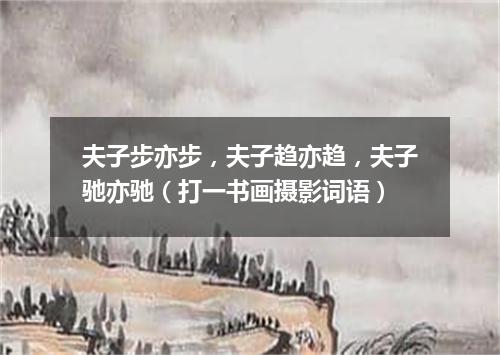 夫子步亦步，夫子趋亦趋，夫子驰亦驰（打一书画摄影词语）