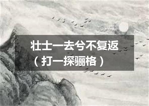 壮士一去兮不复返（打一探骊格）