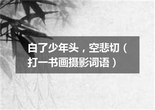 白了少年头，空悲切（打一书画摄影词语）