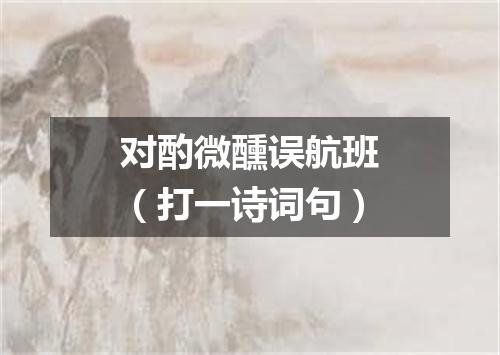 对酌微醺误航班（打一诗词句）