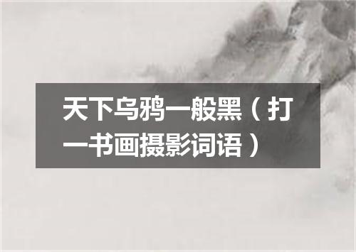 天下乌鸦一般黑（打一书画摄影词语）