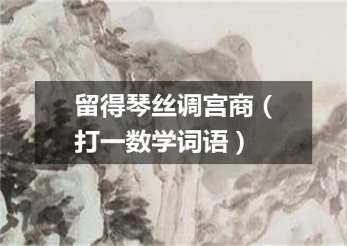 留得琴丝调宫商（打一数学词语）