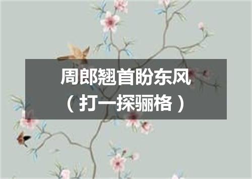 周郎翘首盼东风（打一探骊格）