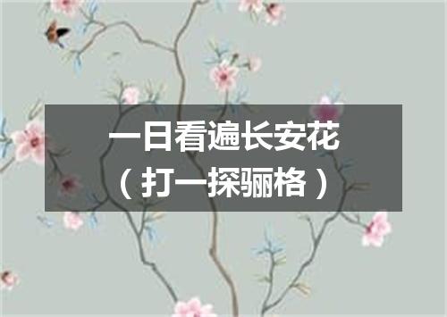 一日看遍长安花（打一探骊格）