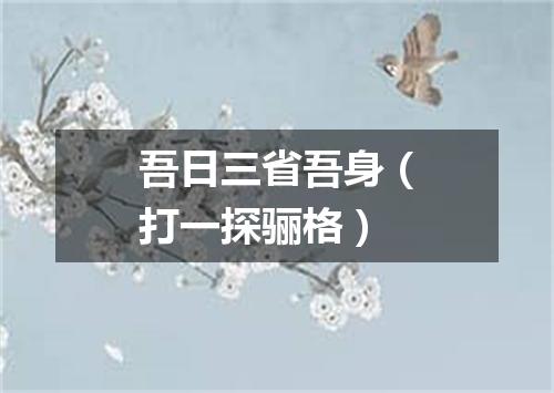 吾日三省吾身（打一探骊格）